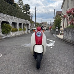 ホンダ　スクーピー　部品取り　レストアベース