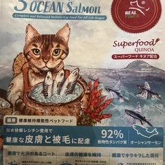 【021】キャットフード正規品＆サンプルセットの画像