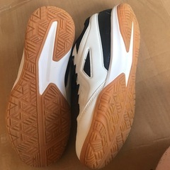 体育館シューズの画像