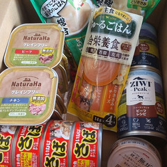 犬用缶詰・ちゅ～る他お譲ります
