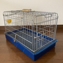 チンチラの中古が安い！激安で譲ります・無料であげます｜ジモティー