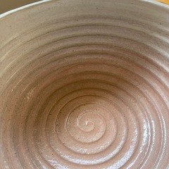 睡蓮鉢の画像
