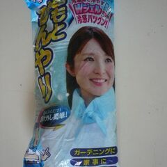 ネックールWⅡ