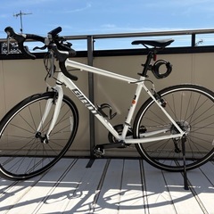 2023 GIANT Bicycles | ESCAPE R DROP
