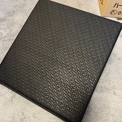美品★SANTEPLUS　サンテプラス FLEX CUSHION フレックスクッションの画像