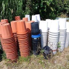 鉢　大きい鉢　プラスチック鉢