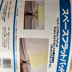 ⭐︎最終値下げ⭐︎スペースフラットパッドの画像