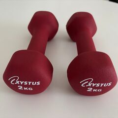 差し上げます：XYSTUS ダンベル 2kgｘ2個セット（美品）