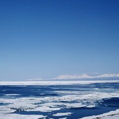 沖合底曳船乗組員募集（底曳船経験者もしくは漁師経験者）の画像