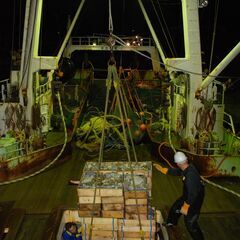 沖合底曳船乗組員募集（底曳船経験者もしくは漁師経験者）の画像