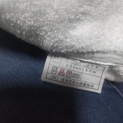 日本製タオルケット2枚組みの画像