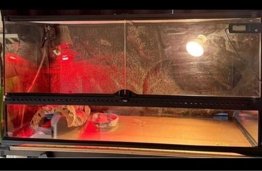 グラステラリウム9045