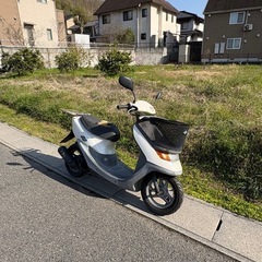 セル実働 ライブディオチェスタ 