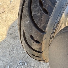 セル実働 ライブディオチェスタ の画像