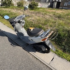 セル実働 ライブディオチェスタ の画像