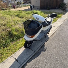 セル実働 ライブディオチェスタ の画像