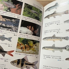 学研の図鑑12冊の画像