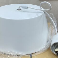 オーム電機 LED ペンダントライト LT-Y10BW-W（ホワイト）