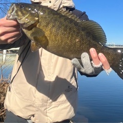 多摩川フィッシング🎣
