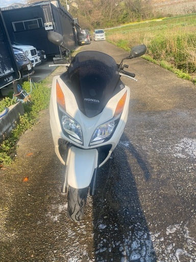 フォルツァ mf12