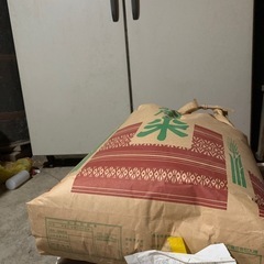 もち米(古米)玄米