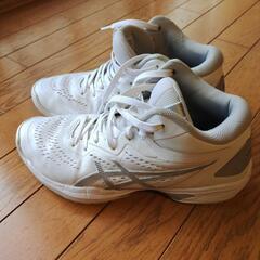 バスケットシューズ　asics