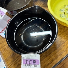 めだか各種の画像