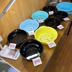 めだか各種