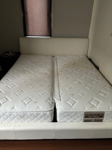 【お話中】クイーン　ベット