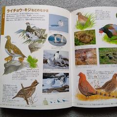 鳥の図鑑ほかの画像