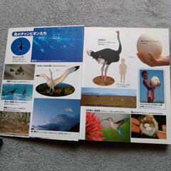 鳥の図鑑ほかの画像