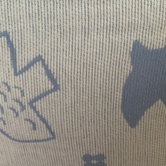 シーズンリーズン クッションの画像