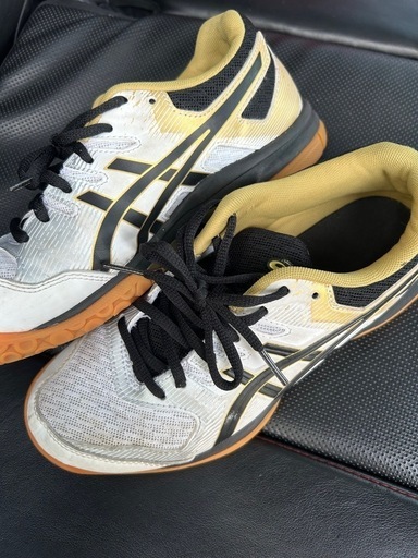 ファッションアイテム人気ランキング asics バレーボールシューズ24.5 (ke) 北九州のスポーツウェア シューズ