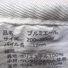 カーペット(ラグ)の画像