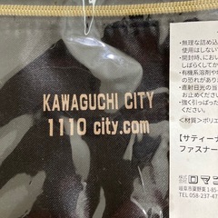川口市　ポーチの画像