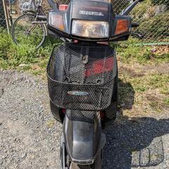 HONDAリード50R黒赤AF10フロントバスケット付き引き取り限定