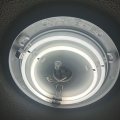 照明　ライト　電気　電球　スイッチ付きの画像