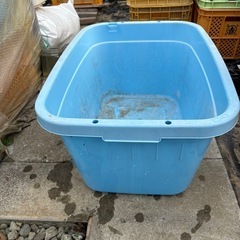メダカ容器
