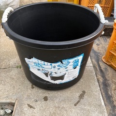 メダカ容器の画像