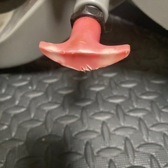 BODYCRAFT （ボディクラフト）フラットインクラインベンチ F603の画像