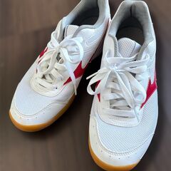 体育館シューズ Mizuno 25.0cmの画像