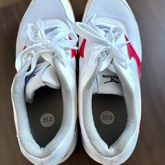 体育館シューズ Mizuno 25.0cmの画像