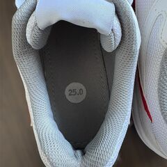 体育館シューズ Mizuno 25.0cmの画像