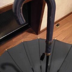 【MOON BAT】レディース　雨傘（長傘）（新品）の画像