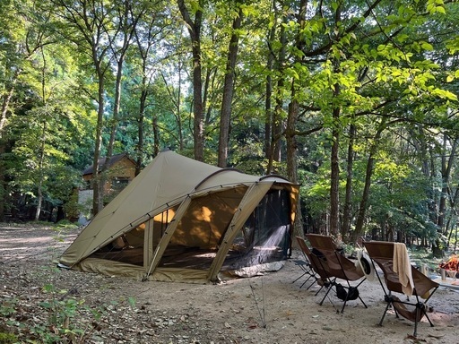 ゼインアーツ ロロ 初期ロット