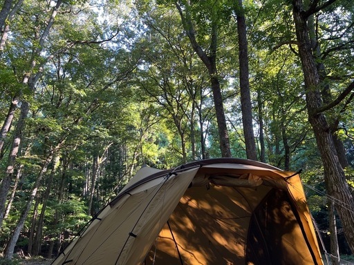 ゼインアーツ LOLO 初期ロット 黒ロープ 箱、保証書あり ゼインアーツ