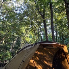 ゼインアーツ ロロ 初期ロットの画像