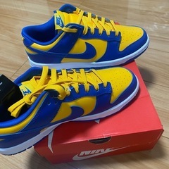 ナイキダンクローレトロBLUEJAY　の画像