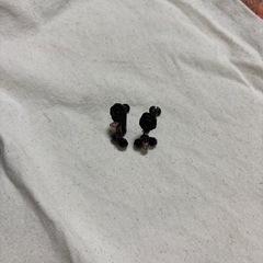ロペピアスの画像