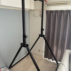 WASAI(ワサイ) 懸垂 懸垂マシン 懸垂器具 ぶら下がり健康器 